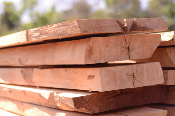 Thế nào là gỗ tự nhiên?